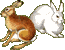 Заяц-беляк, слева летний мех, справа - зимний